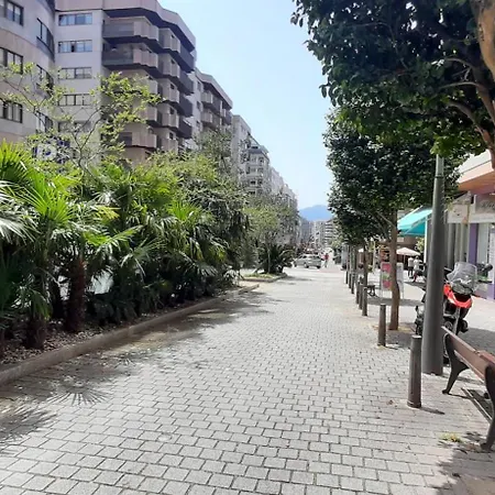 Araucaria * Vigo