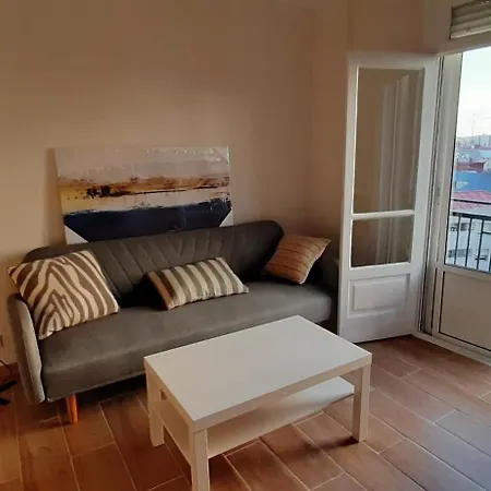 Araucaria * Vigo