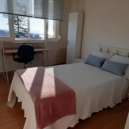 Araucaria * Vigo